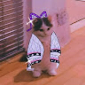 Meet your Posher, Leah